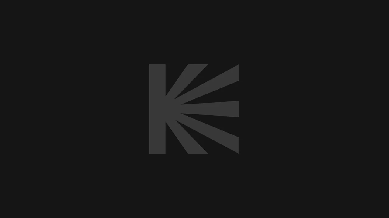 Фильм Код: Неизвестен (2000)