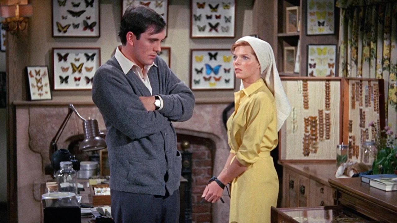 Фильм Коллекционер (1965)