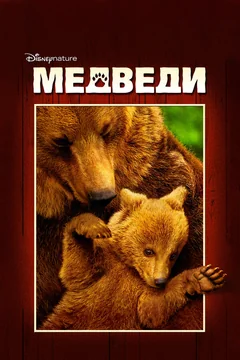 Фильм Медведи (2014)